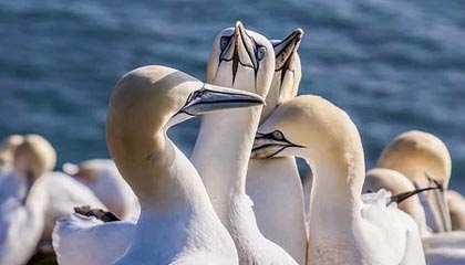 乐清上海医保套现联系方式的最新政策(2025年乐清上海医保套现论坛分享)