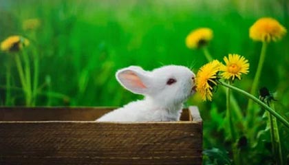 乐清社保不想交了可以退吗的最新政策(2025年乐清社保不想交了可以退吗怎么退分享)